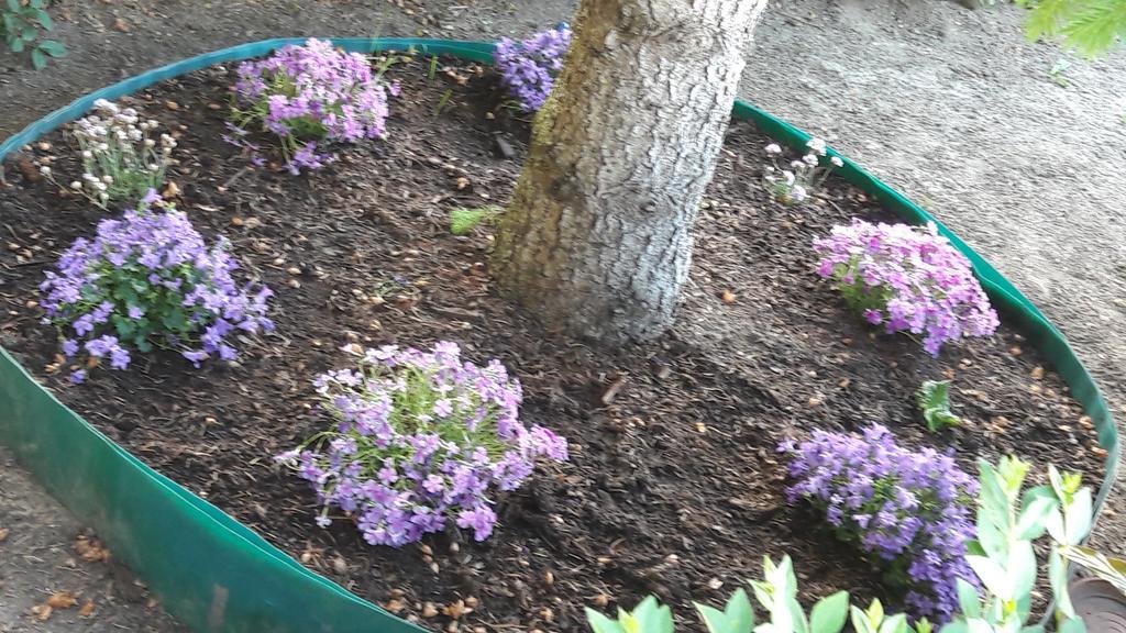 Szaloky Apartmanhaz Gyenesdiás Extérieur photo